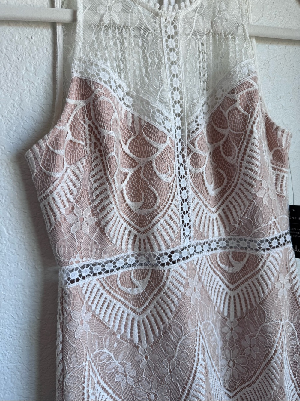 LUSH Lace Sleeveless Mini Dress - Picture 4 of 7